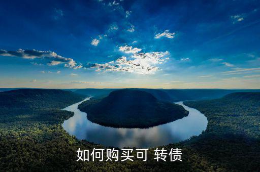 轉(zhuǎn)債b怎么買(mǎi),轉(zhuǎn)債須知之一