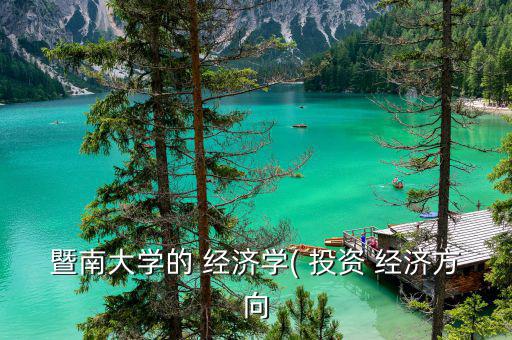 暨南大學(xué)的 經(jīng)濟學(xué)( 投資 經(jīng)濟方向