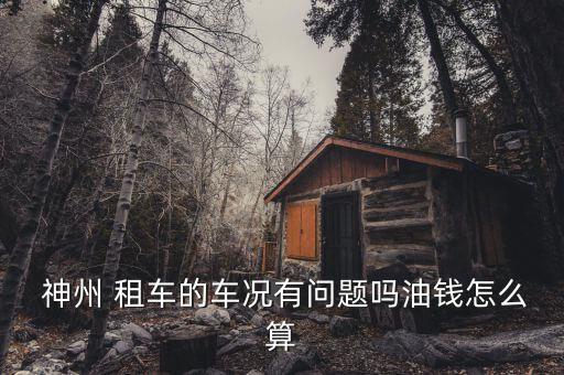  神州 租車的車況有問(wèn)題嗎油錢(qián)怎么算
