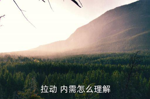  拉動 內需怎么理解