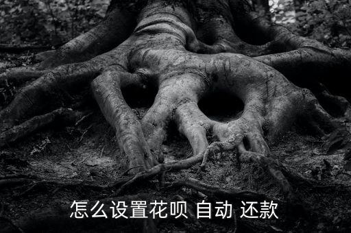 怎么設置花唄 自動 還款