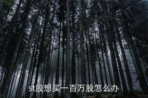 st股想買一百萬(wàn)股怎么辦
