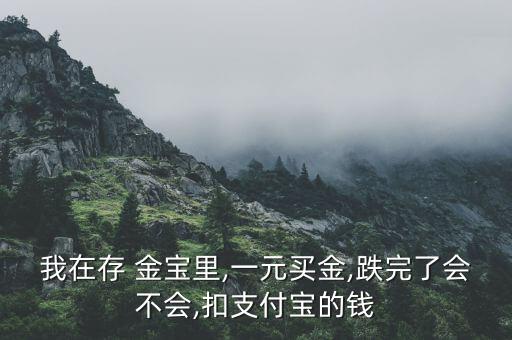 我在存 金寶里,一元買(mǎi)金,跌完了會(huì)不會(huì),扣支付寶的錢(qián)