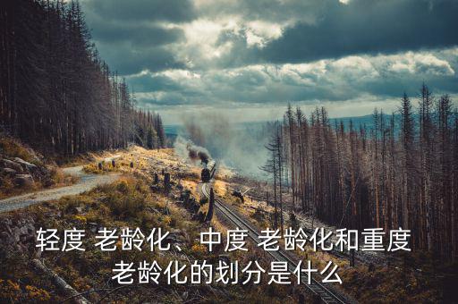 輕度 老齡化、中度 老齡化和重度 老齡化的劃分是什么