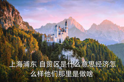  上海浦東 自貿區(qū)是什么意思經(jīng)濟怎么樣他們那里是做啥
