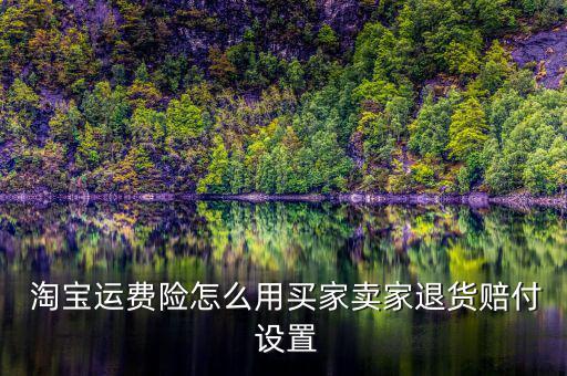  淘寶運費險怎么用買家賣家退貨賠付 設置