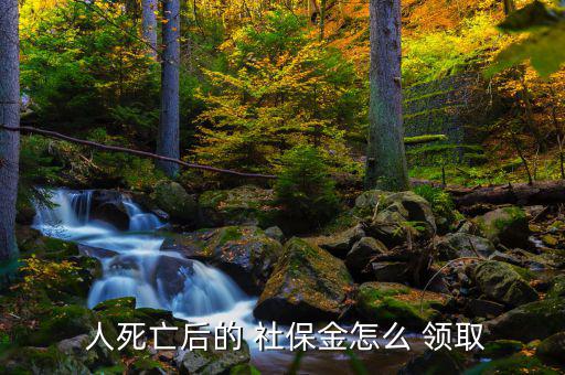 人死后社保怎么領(lǐng)取,如何使用社?？?!
