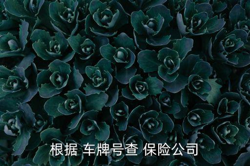 根據 車牌號查 保險公司