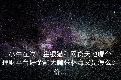  小牛在線、金銀貓和網(wǎng)貸天地哪個(gè) 理財(cái)平臺(tái)好金融大咖張林海又是怎么評(píng)價(jià)...