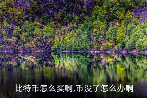  比特幣怎么買(mǎi)啊,幣沒(méi)了怎么辦啊