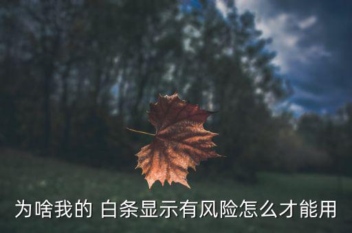 為啥我的 白條顯示有風(fēng)險(xiǎn)怎么才能用