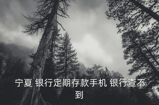 寧夏銀行怎么詢(xún)問(wèn)余額,投資者可查詢(xún)銀行卡-3余額