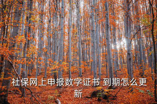 龍灣社保登記證到期怎么更換,社?？ㄟ^期怎么辦?可以這樣做!