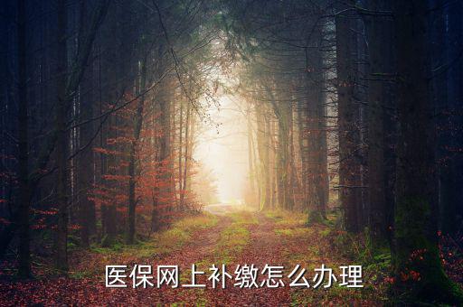 怎么補(bǔ)交醫(yī)保,因個(gè)人原因斷了社?？缮暾埞緸樽约豪U納費(fèi)用