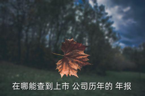 怎么查看公司年報(bào),listing公司財(cái)務(wù)報(bào)表在每期年報(bào)里