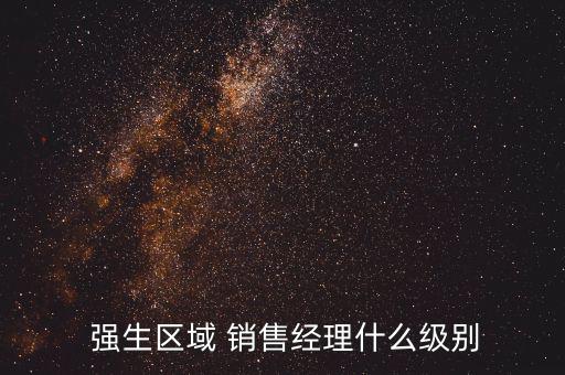  強生區(qū)域 銷售經理什么級別