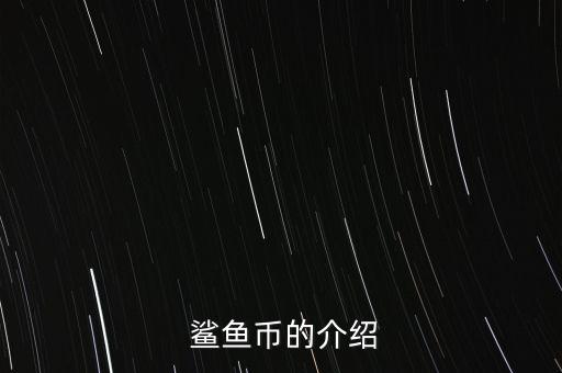 鯊魚幣怎么挖,比特幣是共識網(wǎng)絡推動了一個全新的支付系統(tǒng)