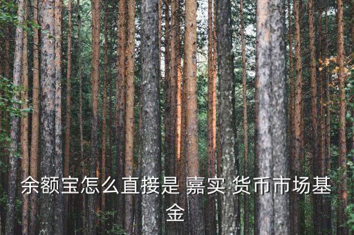 余額寶怎么直接是 嘉實(shí) 貨幣市場基金
