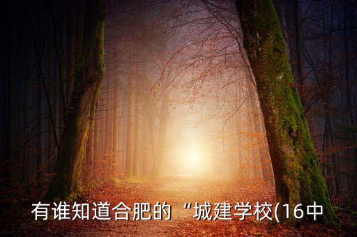 有誰(shuí)知道合肥的“城建學(xué)校(16中