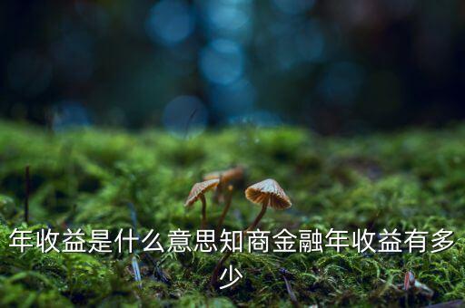 資金占用年收益是什么意思，利息支出中有個(gè)資金占用費(fèi)這個(gè)是什么意思