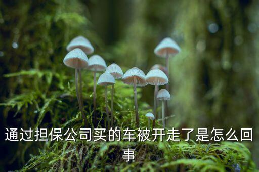 擔保公司為什么跑，這是擔保公司又跑一個的節(jié)奏嗎 求證實