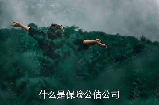什么是承保公估，保險中的公估是什么概念