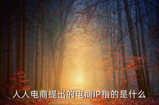 什么是ip經(jīng)濟，人人電商提出的電商IP指的是什么
