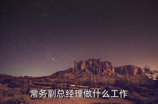 公司副總經理會承擔什么，副總經理主要負責什么
