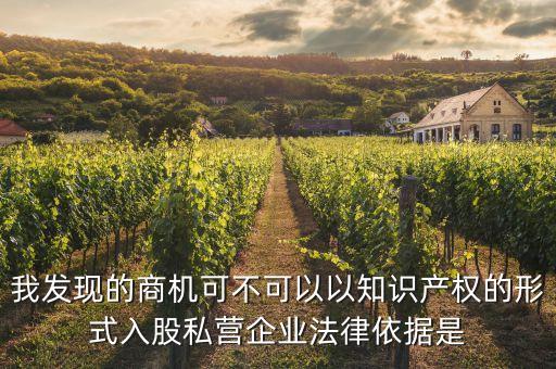 我發(fā)現(xiàn)的商機(jī)可不可以以知識(shí)產(chǎn)權(quán)的形式入股私營企業(yè)法律依據(jù)是