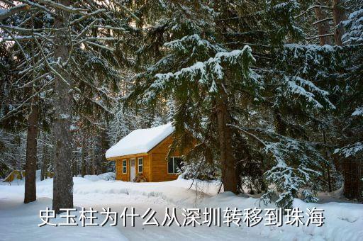 史玉柱為什么去西藏，史玉柱個人簡介