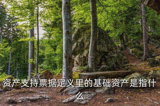 資產支持票據(jù)定義里的基礎資產是指什么