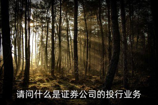 什么是類投行業(yè)務(wù)，請問什么是證券公司的投行業(yè)務(wù)