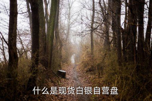 現(xiàn)貨盤是什么，國際盤現(xiàn)貨是什么意思