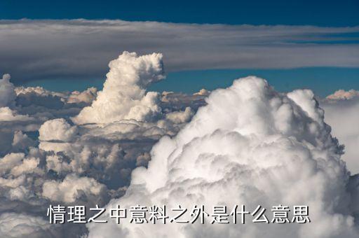 情理之外是什么意思，意料之中情理之中都是什么意思