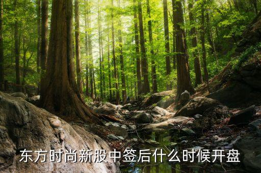 浙江東方股票什么時候開盤，東方申購啥時候開盤時間