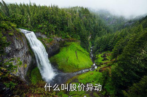 什么叫股票異動(dòng)，異動(dòng)股是什么意思