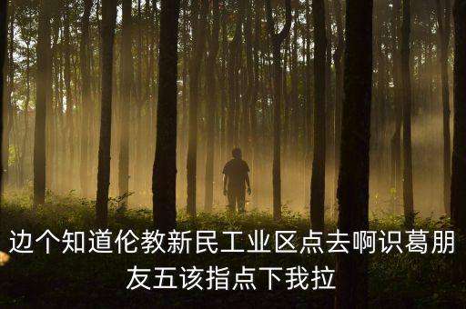 李葛衛(wèi)為什么入新民科技，邊個知道倫教新民工業(yè)區(qū)點去啊識葛朋友五該指點下我拉