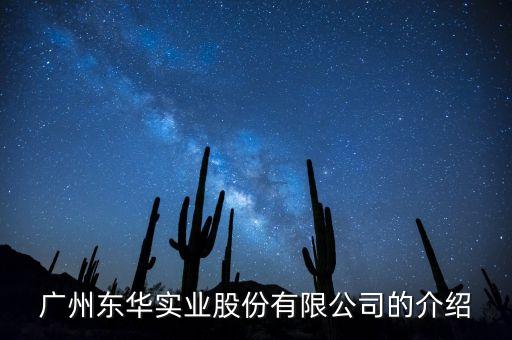 東華實業(yè)做什么行業(yè)，東華實業(yè)整體上市是哪個公司