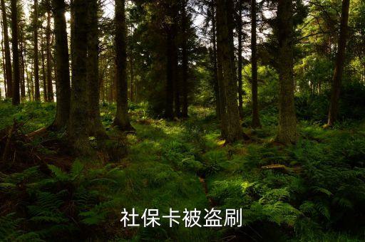 盜刷社保卡是什么罪，小偷持盜竊所得的社保卡到藥店刷卡消費(fèi)藥店是否構(gòu)成銷贓罪  搜