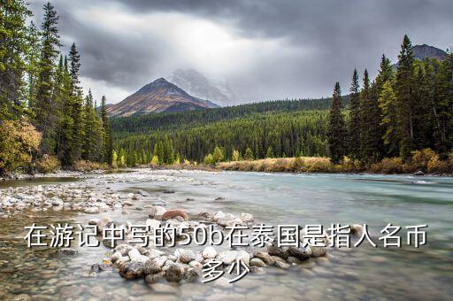 國金50b是什么，國金證券券商代碼是什么