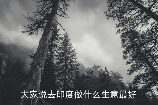 去印度做什么生意好，印度外貿(mào)做什么產(chǎn)品好