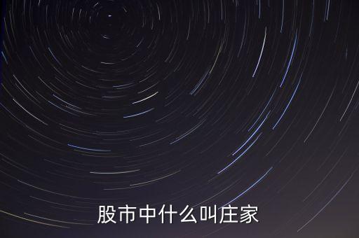 什么莊家股票，股票的莊家是指