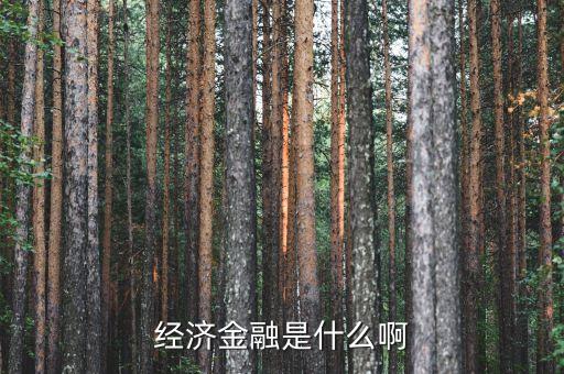 金融資源是什么，經(jīng)濟(jì)金融是什么啊
