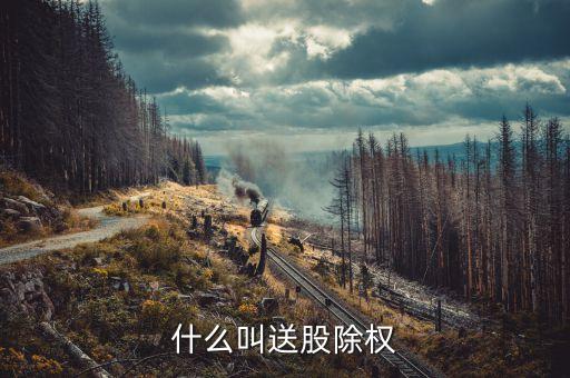 送股什么意思，什么是送轉(zhuǎn)股