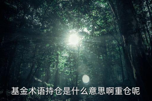 etf持倉(cāng)是什么意思，基金術(shù)語(yǔ)持倉(cāng)是什么意思啊重倉(cāng)呢
