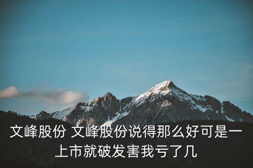 文峰股份是什么公司，文峰股份怎么樣
