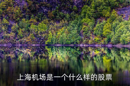 上海機(jī)場股票屬于什么股票，上海機(jī)場屬于什么行業(yè)的股票