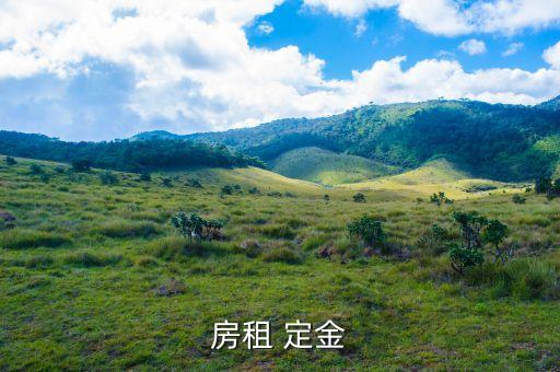 房屋租金那有什么金，什么是租房押金