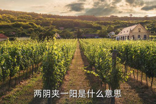 股票兩陰一陽又兩陰什么走勢，股市技術(shù)圖形兩陰一陽又兩陰后市怎樣