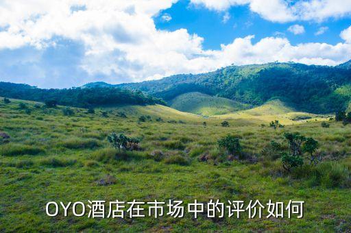 為什么從驢媽媽離職，驢媽媽旅游網(wǎng)怎么樣工資待遇